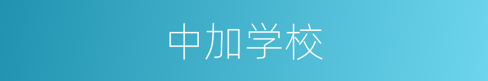 中加学校的同义词