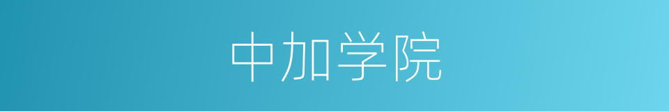 中加学院的同义词