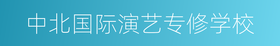 中北国际演艺专修学校的同义词