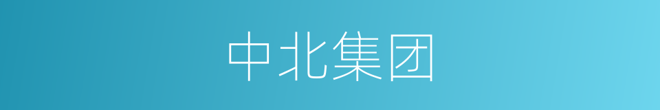 中北集团的同义词