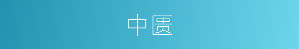 中匮的意思