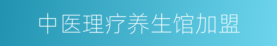 中医理疗养生馆加盟的同义词