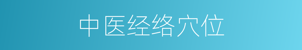 中医经络穴位的同义词