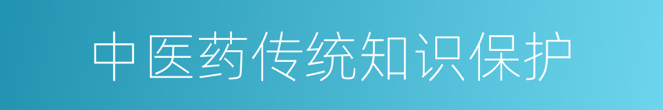 中医药传统知识保护的同义词