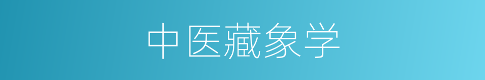 中医藏象学的同义词