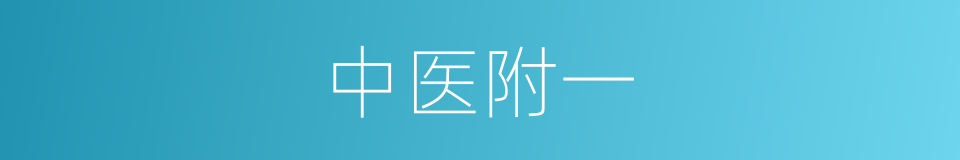 中医附一的同义词