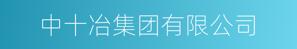 中十冶集团有限公司的同义词