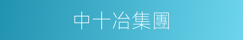 中十冶集團的同義詞