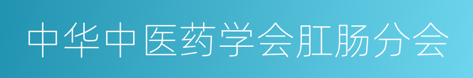 中华中医药学会肛肠分会的同义词