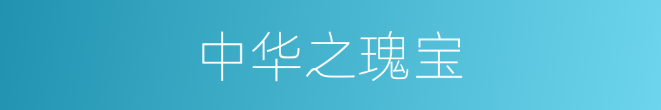 中华之瑰宝的同义词