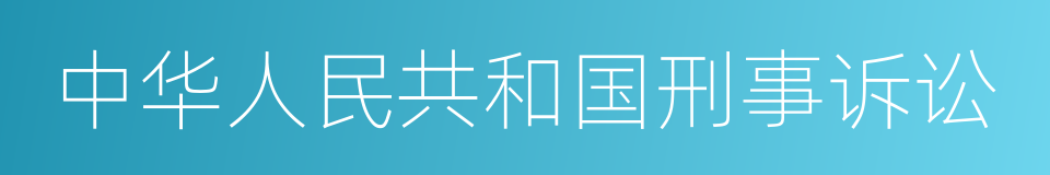 中华人民共和国刑事诉讼的同义词