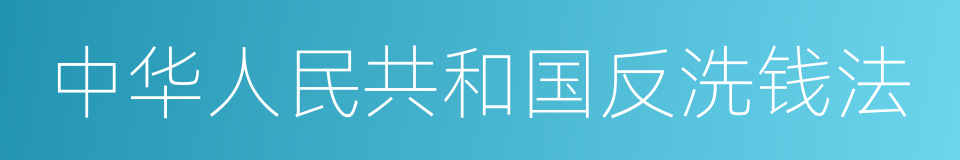 中华人民共和国反洗钱法的同义词