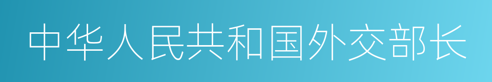 中华人民共和国外交部长的同义词