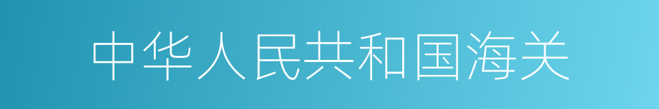 中华人民共和国海关的同义词