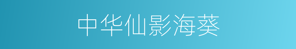 中华仙影海葵的同义词