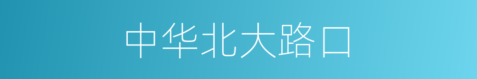 中华北大路口的同义词