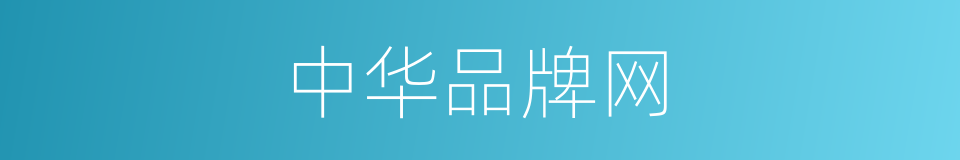 中华品牌网的同义词