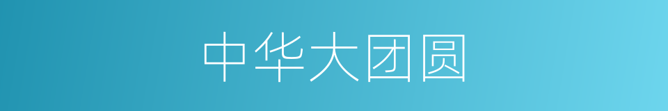 中华大团圆的同义词