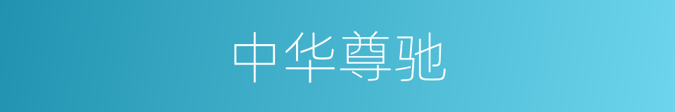 中华尊驰的同义词