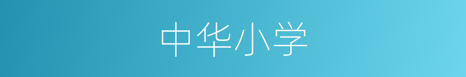 中华小学的同义词