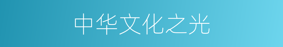 中华文化之光的同义词