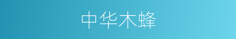 中华木蜂的同义词