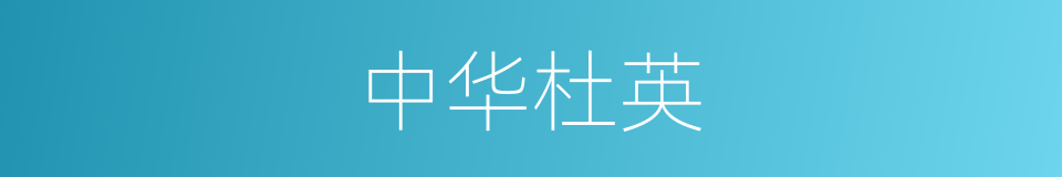 中华杜英的同义词