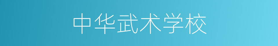 中华武术学校的同义词