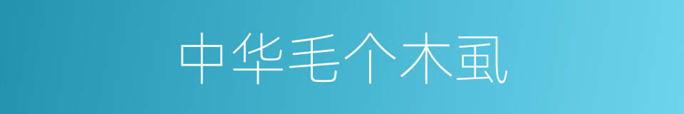 中华毛个木虱的同义词