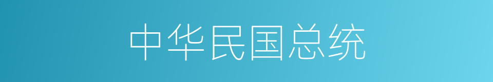 中华民国总统的同义词