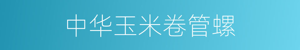 中华玉米卷管螺的同义词