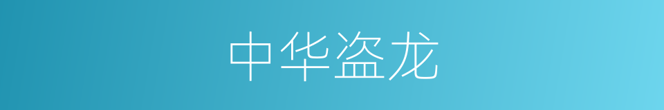 中华盗龙的同义词