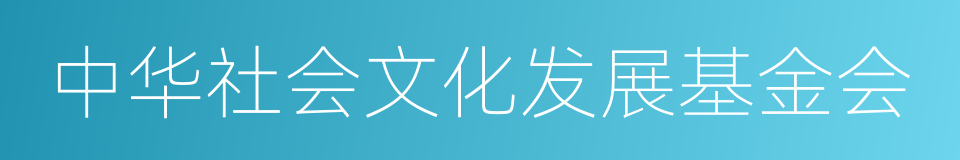 中华社会文化发展基金会的同义词