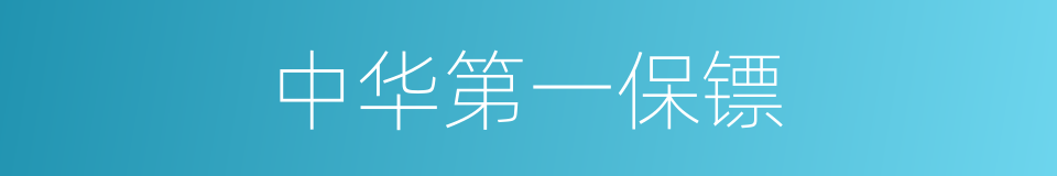 中华第一保镖的同义词