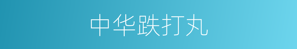 中华跌打丸的同义词