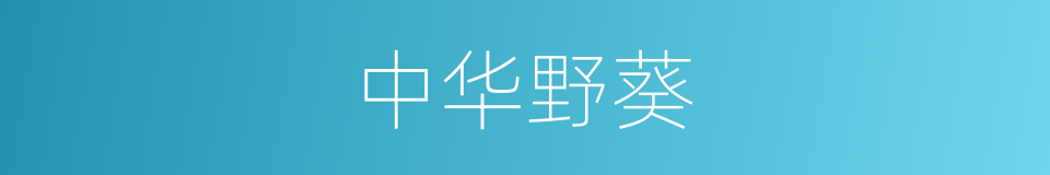 中华野葵的同义词