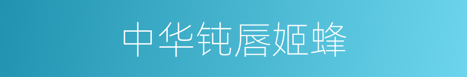 中华钝唇姬蜂的同义词