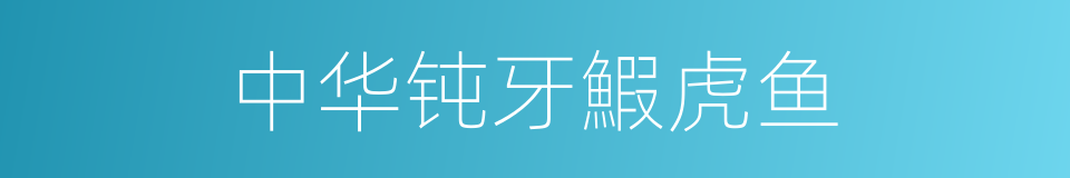 中华钝牙鰕虎鱼的同义词