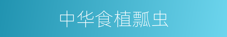 中华食植瓢虫的同义词