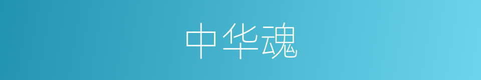 中华魂的同义词