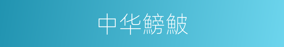 中华鰟鮍的同義詞