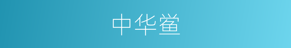 中华鲎的同义词