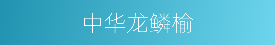 中华龙鳞榆的同义词
