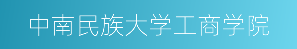中南民族大学工商学院的同义词