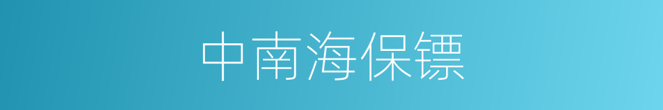 中南海保镖的同义词