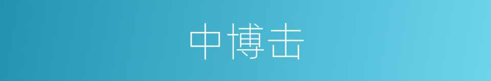 中博击的同义词