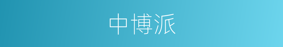 中博派的同义词
