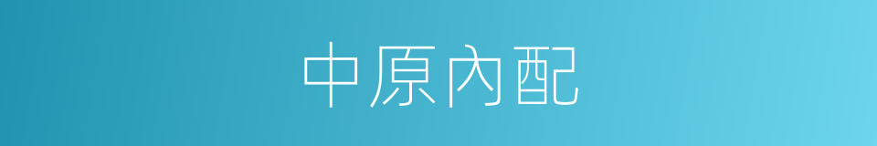 中原內配的同義詞