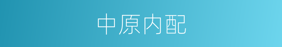 中原内配的同义词