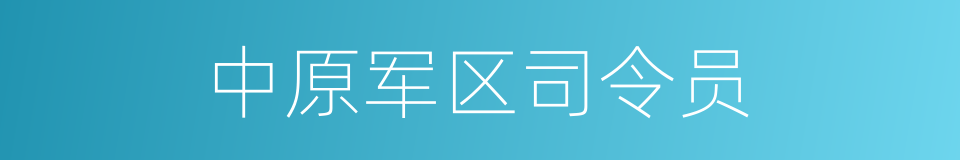 中原军区司令员的同义词